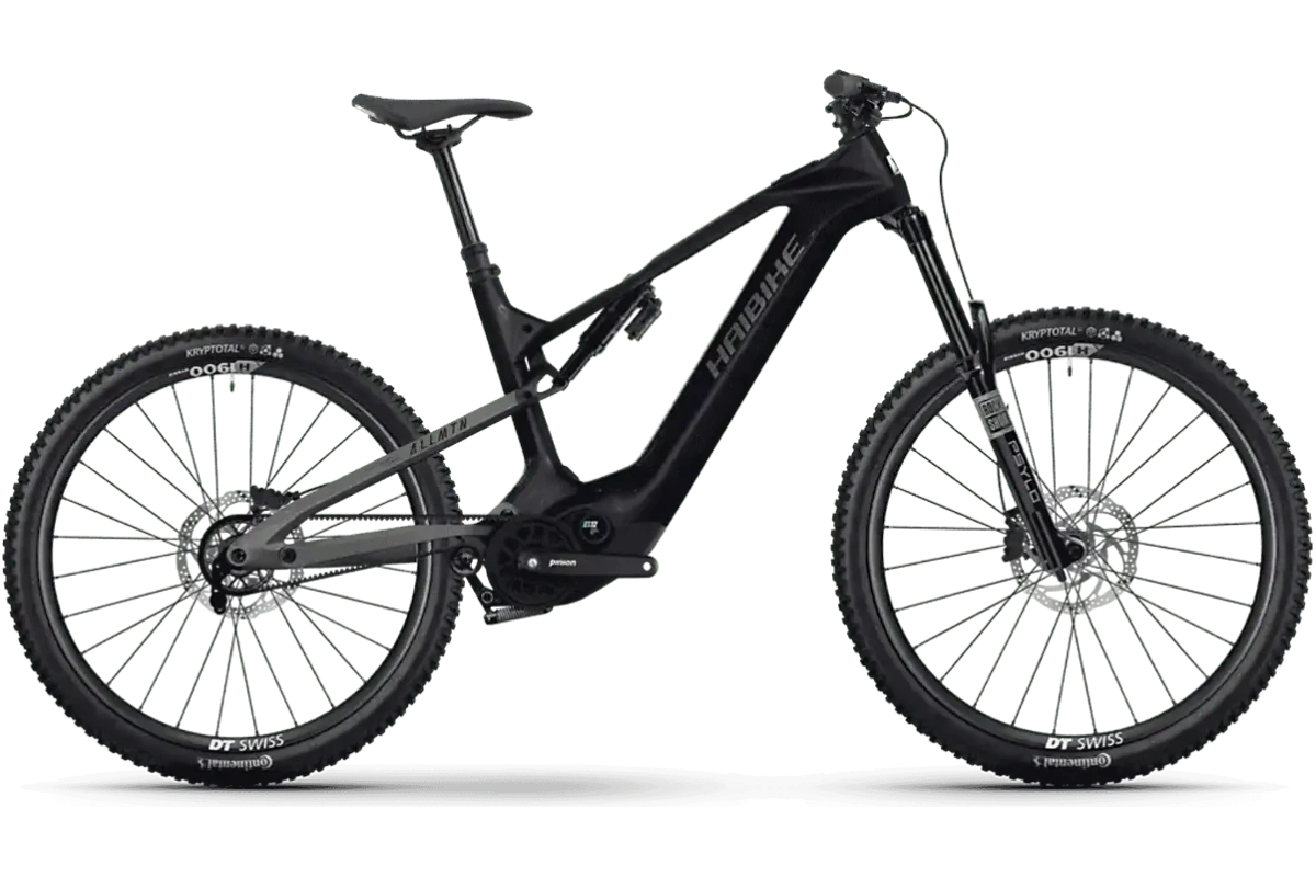 Haibike ALLMTN TQ 10